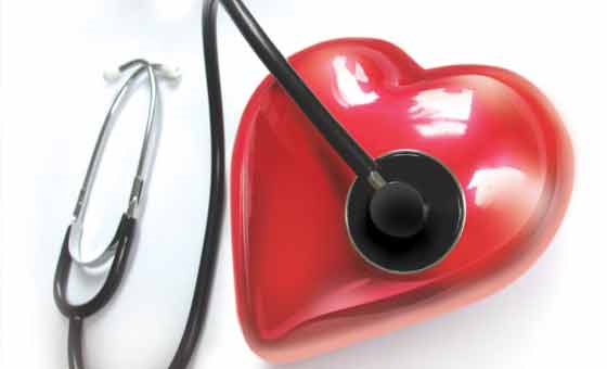 Maladies cardiovasculaires : le cholestérol est-il le coupable ?